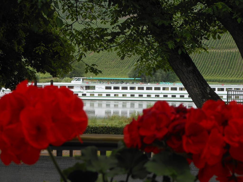 Ferienhaus Mosel Brauneberg Exterior foto
